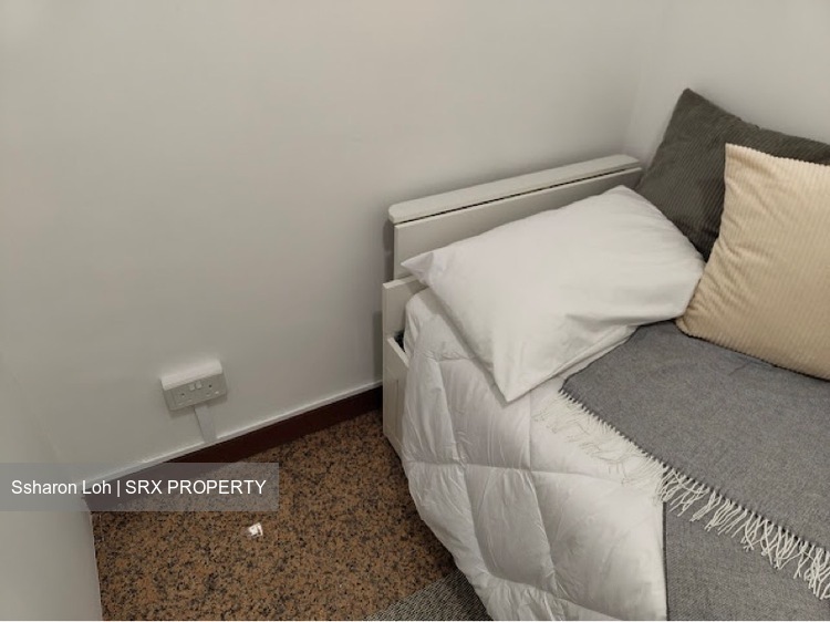 Dover Parkview (D5), Condominium #452940081